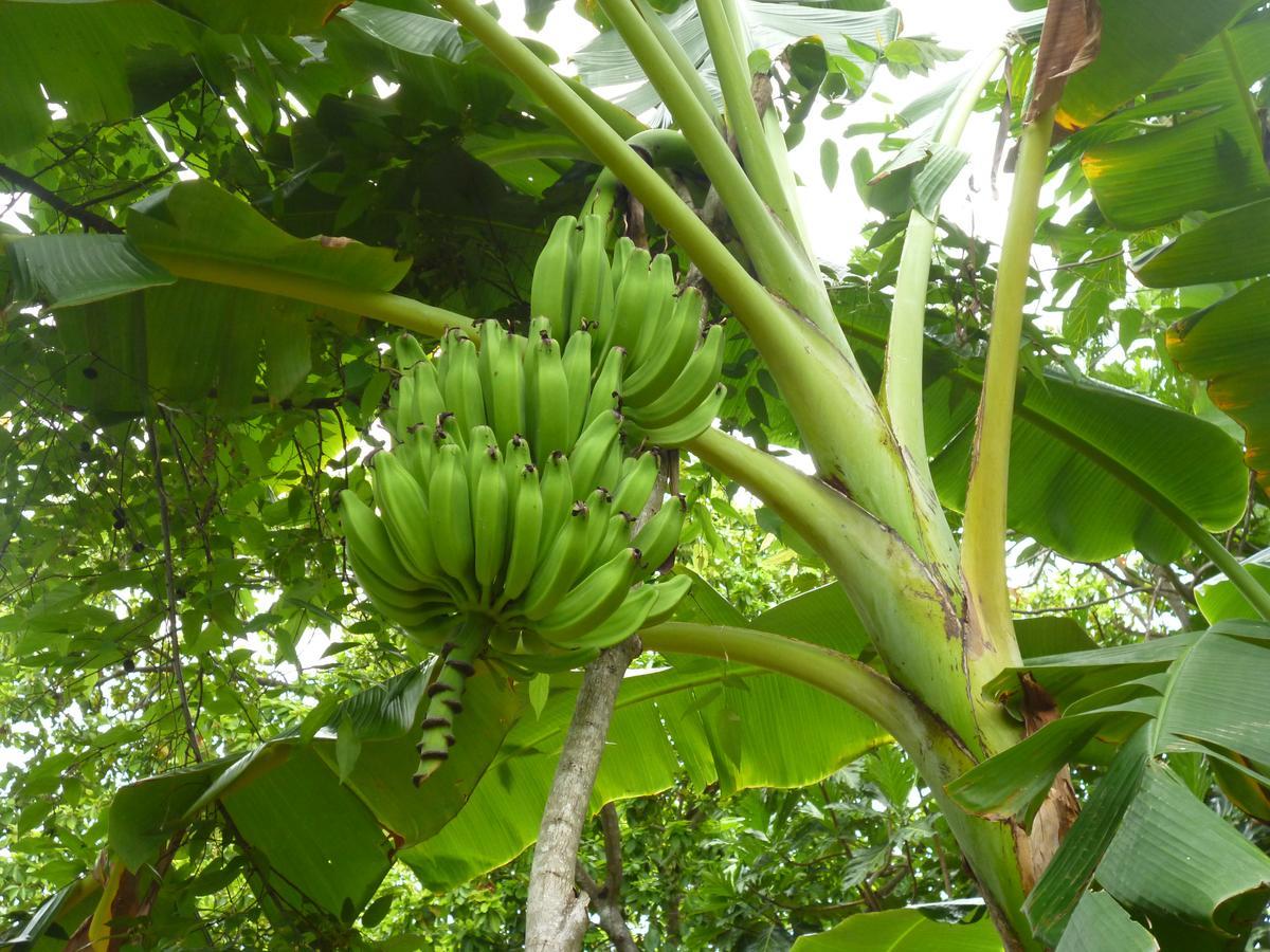 Posada Nativa Miss Casira San Andrés 外观 照片