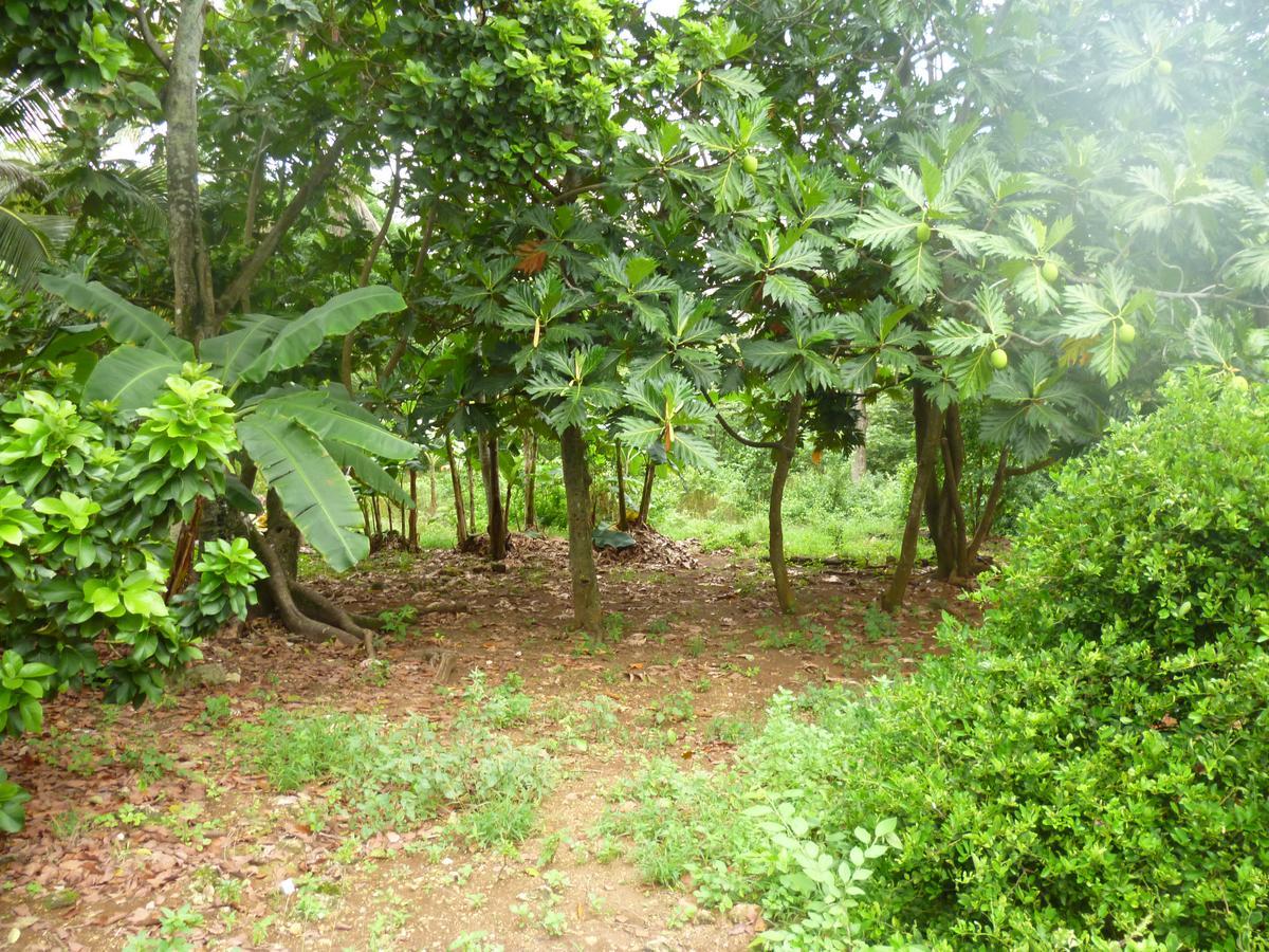 Posada Nativa Miss Casira San Andrés 外观 照片