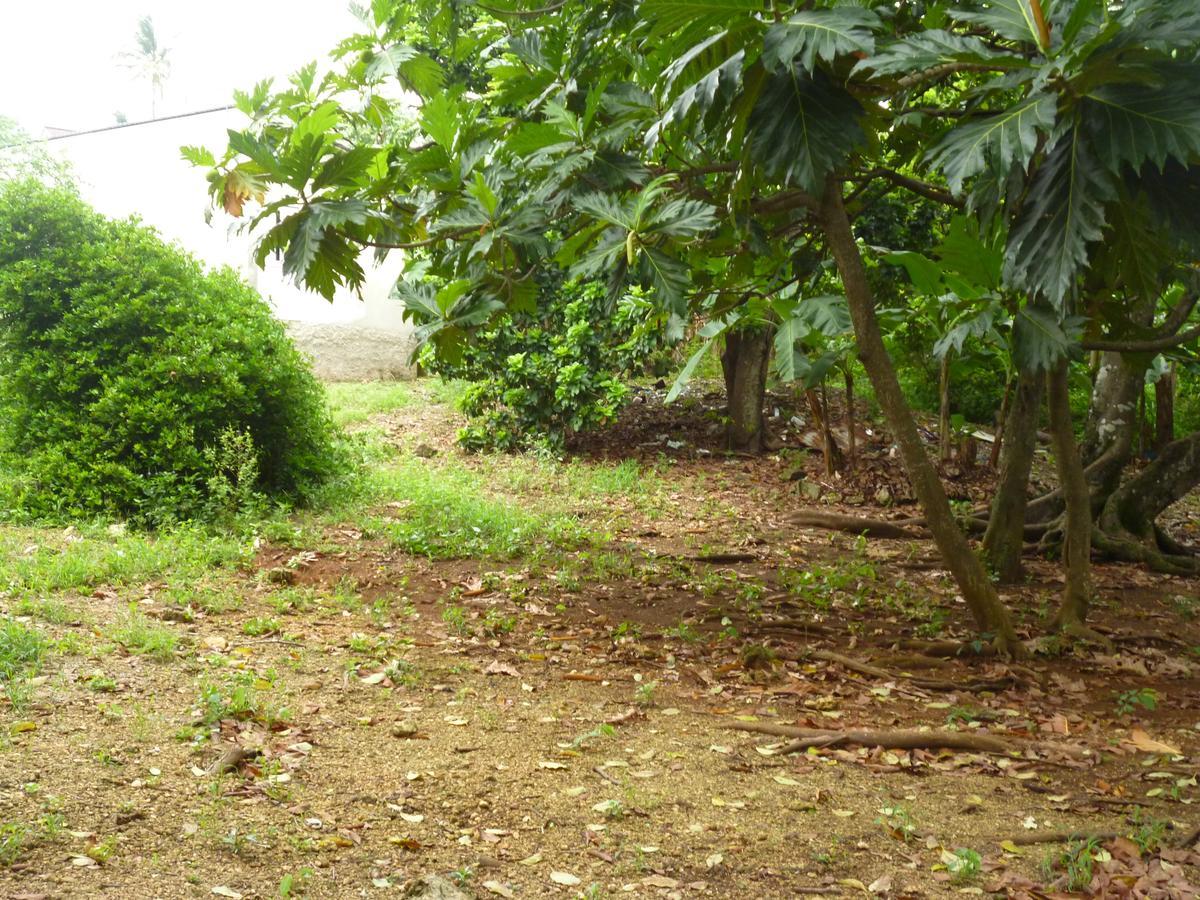 Posada Nativa Miss Casira San Andrés 外观 照片